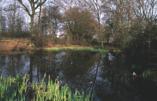  The Village Pond is maintained by  the Tewin Society